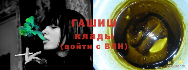 хмурый Каменка
