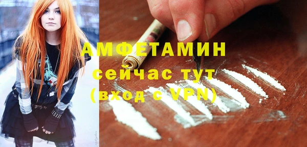 хмурый Каменка