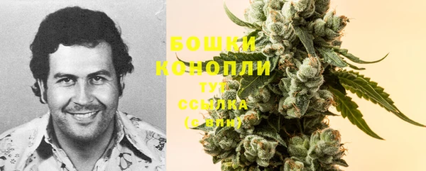 хмурый Каменка